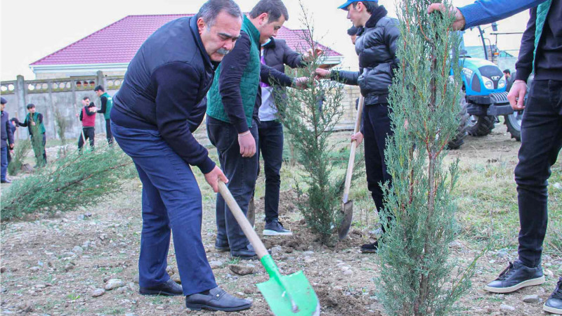 ADAU tələbələri ağacəkmə aksiyasında iştirak ediblər