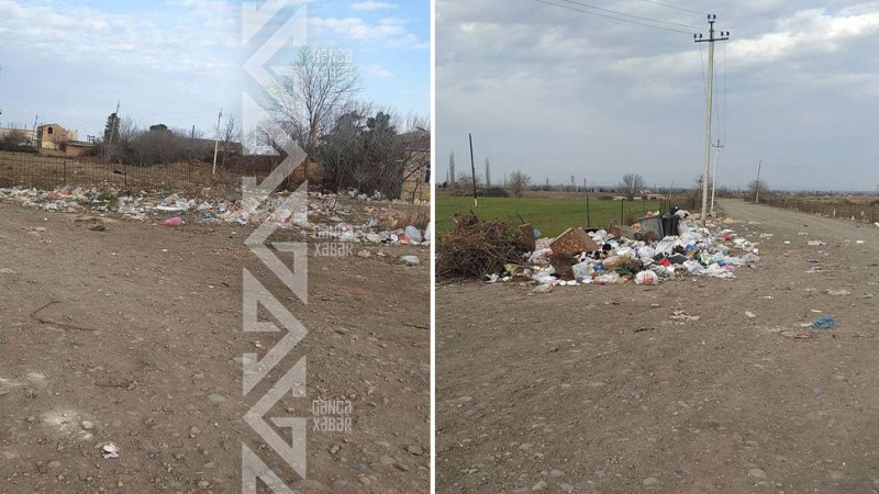 Gəncənin yüzdən çox evi üçün cəmi yeddi tullantı qabı yerləşdirilib