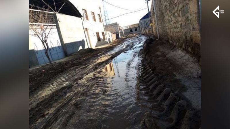 Gəncədə tanınmış şərqşünas Aida İmanquliyevanın adını daşıyan küçənin halı