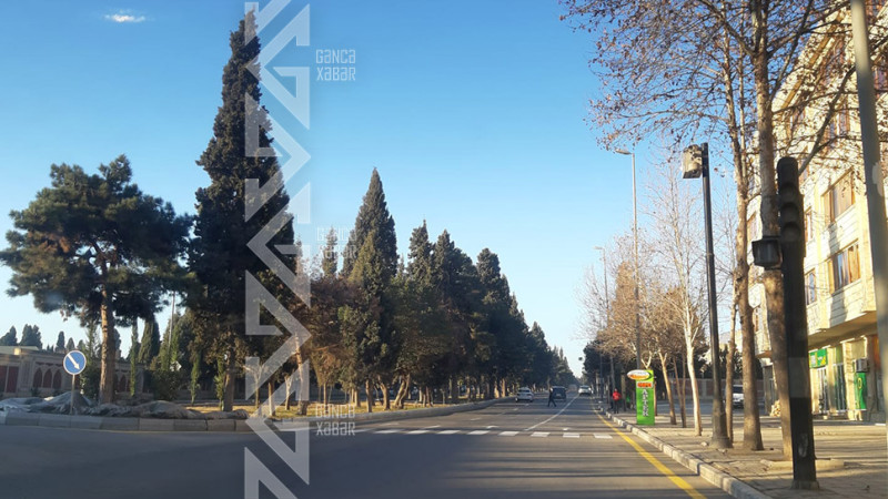Gəncənin Nizami prospektində işıqfor çalışmır