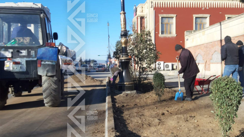 Gəncədə abadlıq işləri bu gün Şah İsmayıl Xətai prospektində görülür