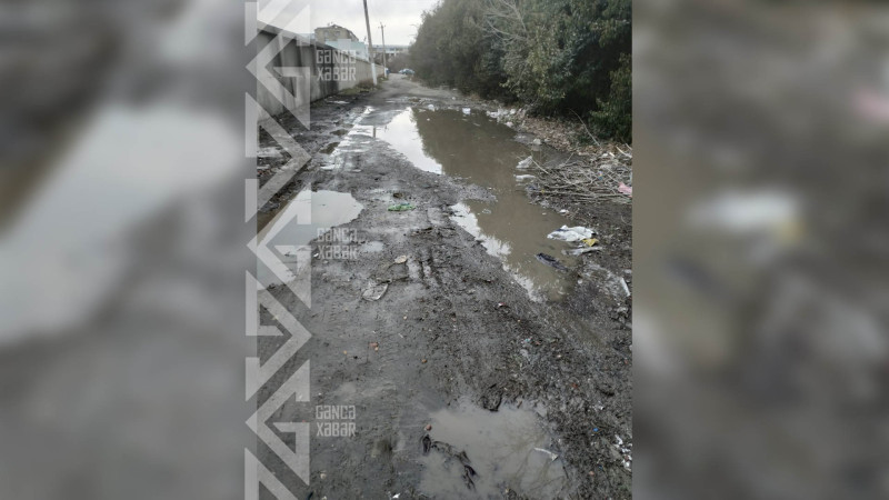Gəncədə təhsilə aparan yol, palçıqdan keçir