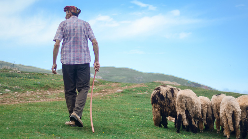 Gəncə sakini tanışını bıçaqlayıb