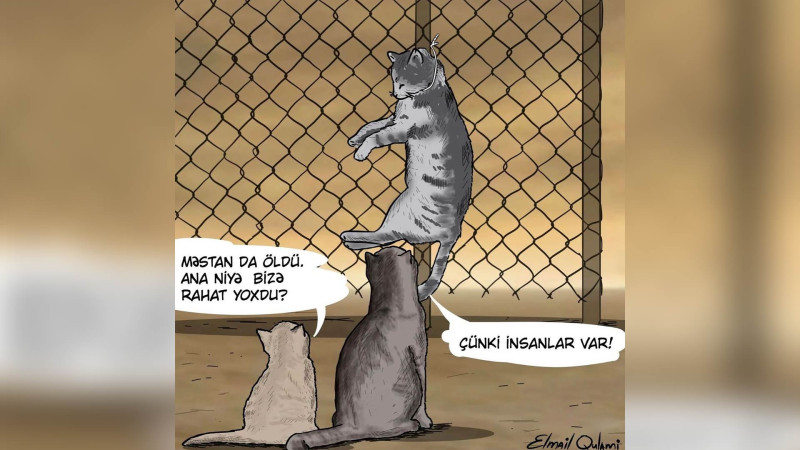 Pişik qətli ilə bağlı karikatura geniş müzakirələrə səbəb olub
