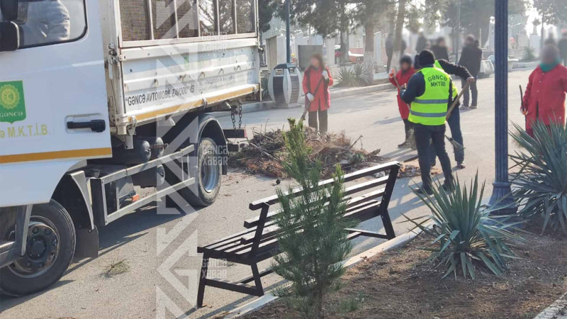 Şəhidlər xiyabanı səliqəyə salınır
