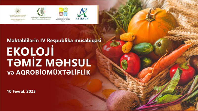 Təmsilçimiz Respublika müsabiqəsində qələbə qazanıb