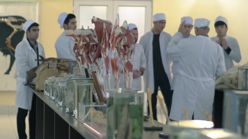 Gəncənin qeyri-adi Patoloji Anatomiya Muzeyi