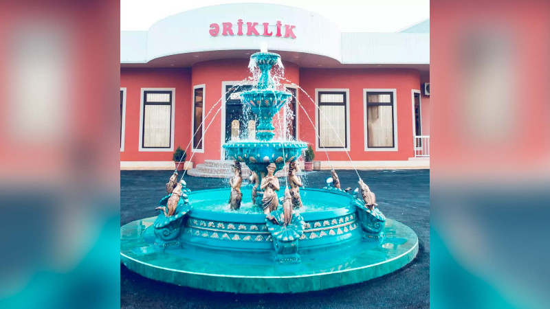 Əriklik restoranında qanun pozuntuları aşkarlanıb