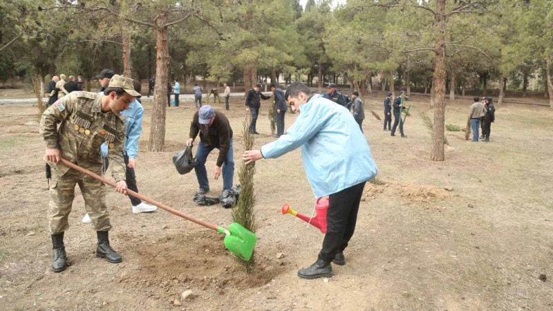 “100 ədəd ağac əkək” devizi altında aksiya baş tutub