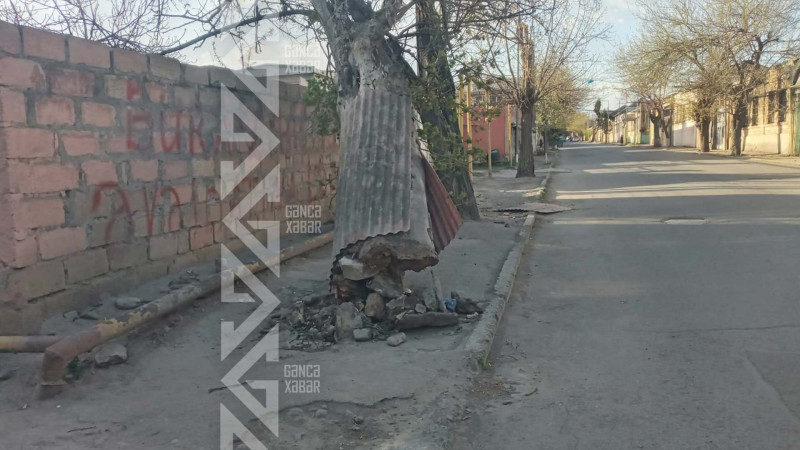 Güclü küləyin yaratdığı fəsadlar aradan qaldırılır