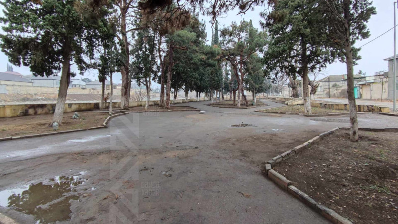 Bu parkda oturmaq üçün cəmi iki skamya var