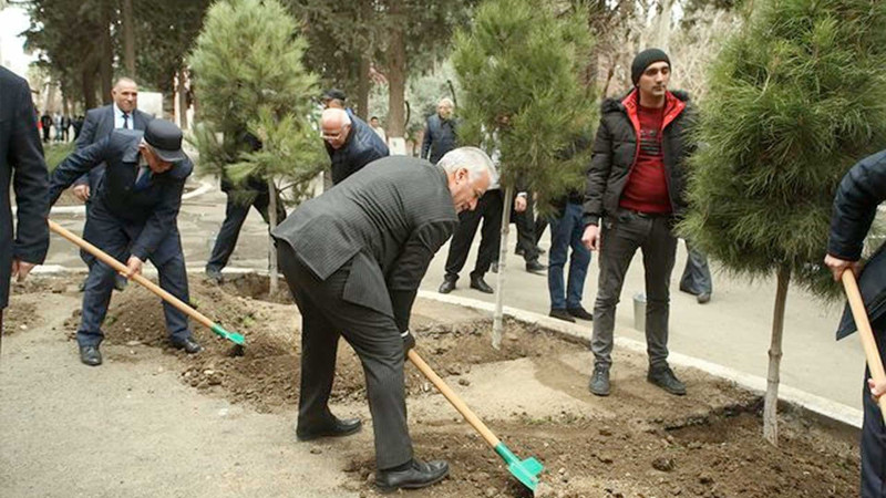UTECA-da yaşıllaşdırma aksiyası keçirilib