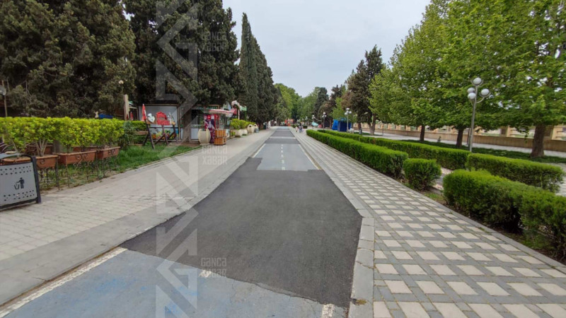 Bayraq meydanında velosiped yolu təmir olunub