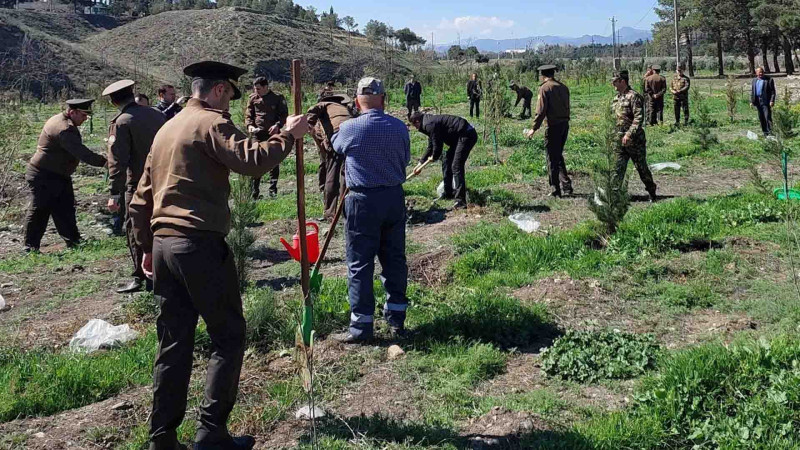 FHN-in Gəncə Regional Mərkəzi ağacəkmə aksiyası təşkil edib