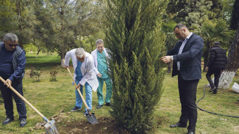Gəncə ŞBX ağacəkmə aksiyası keçirib