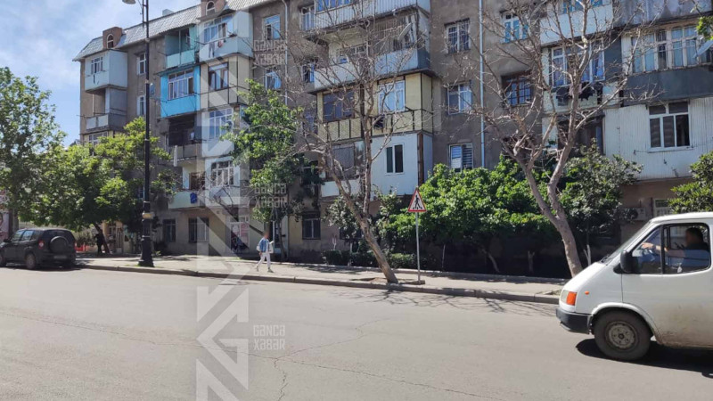 Bir çox ərazilərdə qurumuş ağaclara rast gəlinir