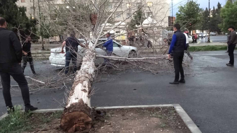 Güclü külək və sel suları bir sıra fəsadlara yol açıb
