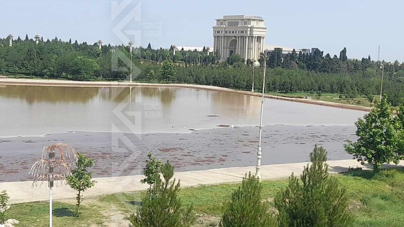 Daşmış süni gölün ətrafında təmizlik işləri aparılır