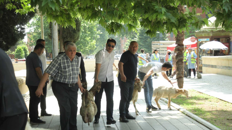 Ərdoğanın qələbəsi ilə əlaqədar qurbanlar kəsilib