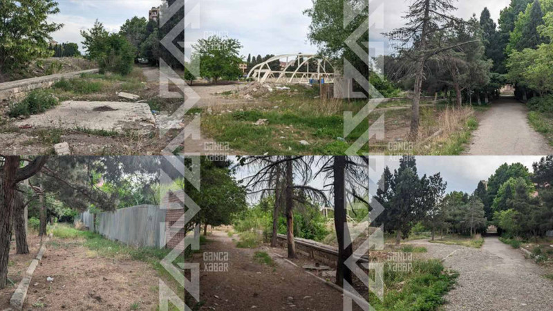 Parkın baxımsız halda olması sakinləri narahat edir