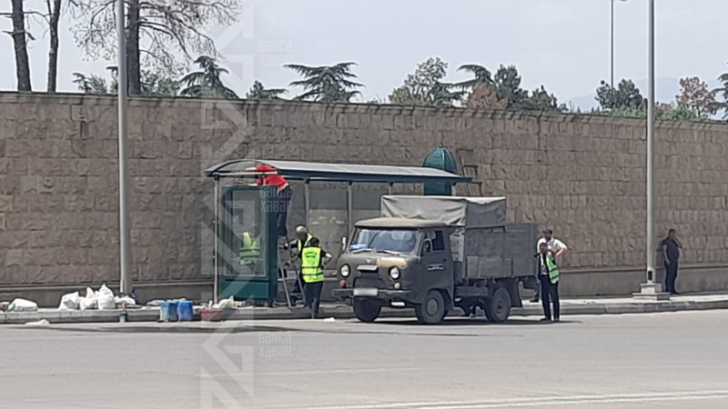 Yeni Gəncədə maşının çarpıldığı dayanacaq yenilənir
