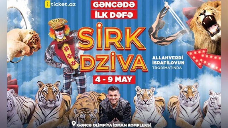 “Dziva” sirk şousu artıq şəhərimizdədir