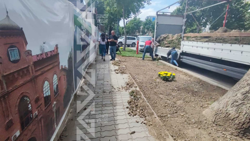 Heydər Əliyev prospektində yaşıllıq zolağı salınır