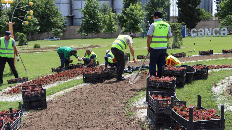 Gəncəçay Park və Avropa Gənclər Paytaxtı parkı yaşıllaşdırılıb