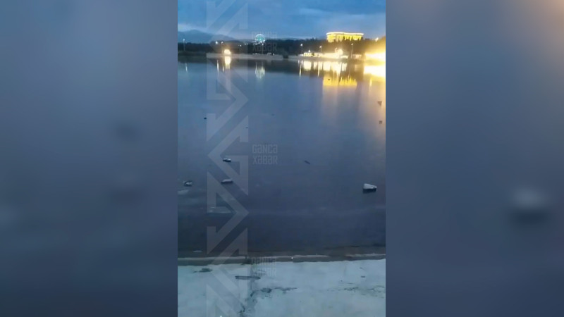 Sakinlər üz tutduqları parkda kəskin qoxudan narahatdırlar
