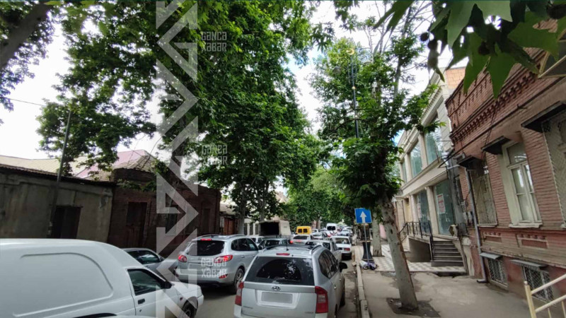 Gəncədə veloyürüş tıxaca səbəb olub