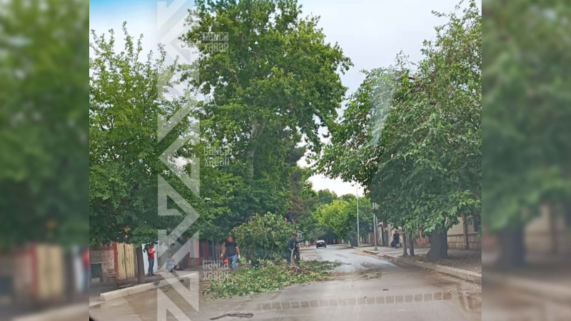 Gecə yağan leysan və güclü küləyin fəsadları aradan qaldırılır