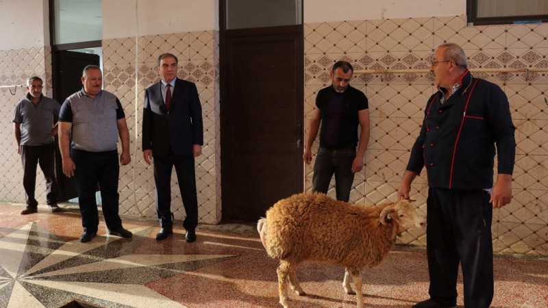 Niyazi Bayramov qurbanlıq heyvan kəsimi və satışı məntəqələrini ziyarət edib