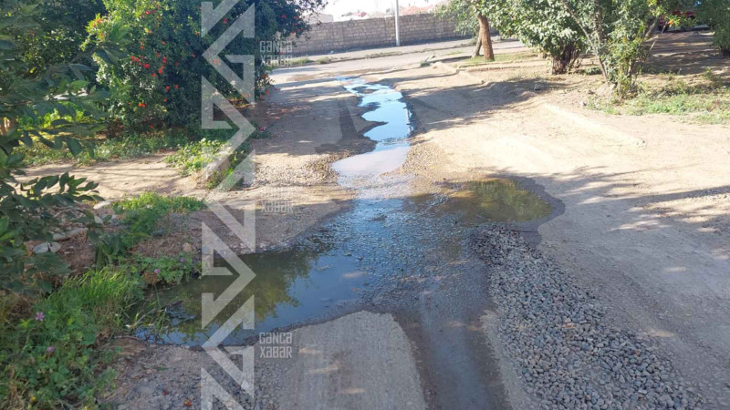 Aida İmanquliyeva küçəsində kanalizasiya quyusu daşıb