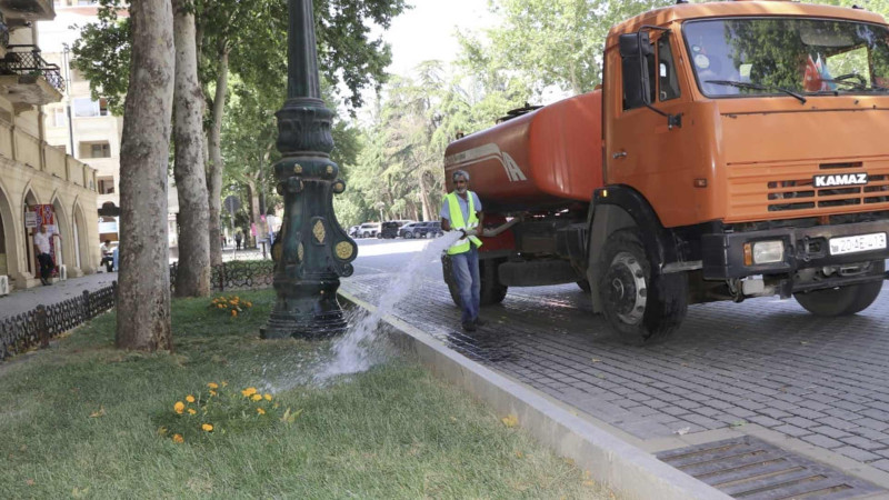 Bir sıra ərazilərdə ağaclara qulluq göstərilib