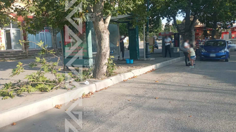 Yeni Gəncədə avtobus dayanacağı yerləşdirilib