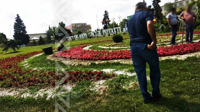 Şəhərin mərkəzində güllər əkilib