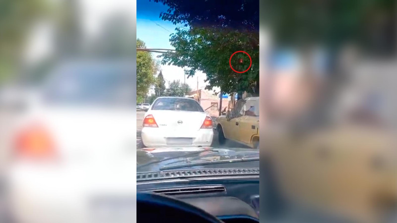 Budaqların arxasında qalan işıqfor sürücülər üçün çətinlik yaradır