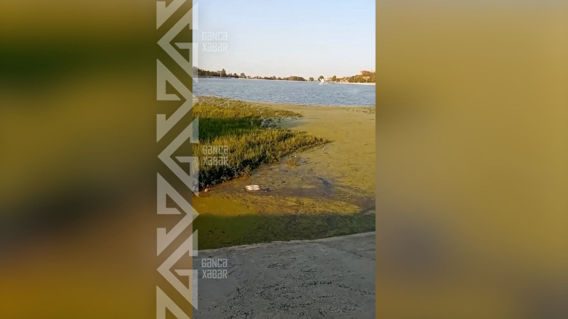 Heydər Əliyev parkındakı gölün təmizlənməyə ehtiyacı var