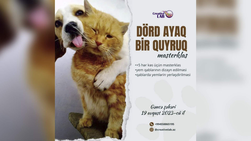 Heyvansevərlər üçün master-klas keçiriləcək