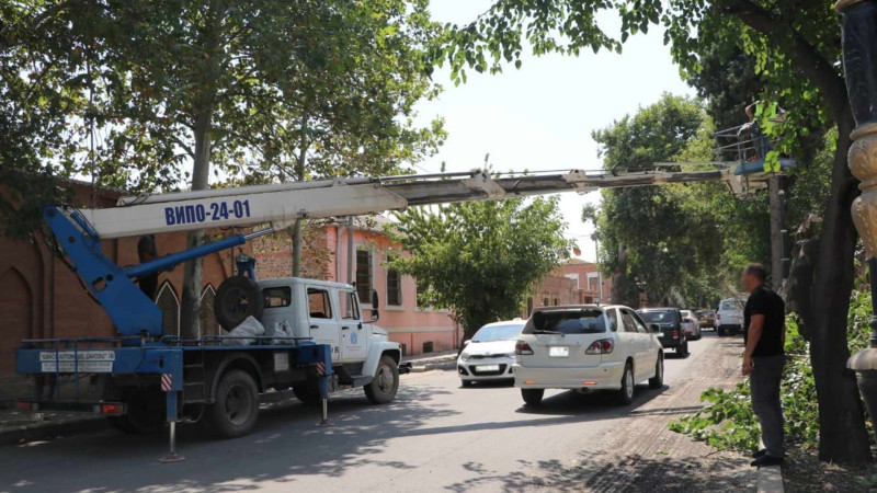 Şəhərdə irigövdəli ağaclarda budanma işləri aparılıb