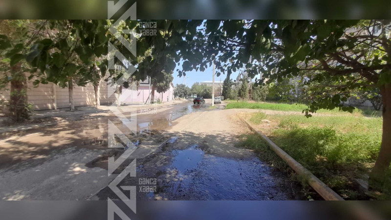 Aida İmanquliyeva küçəsində su borusu partlayıb