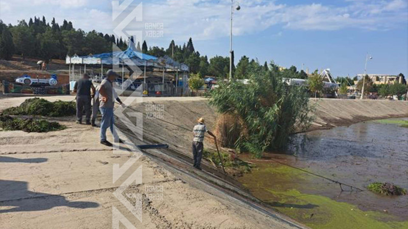 Süni göldə təmizlik işləri aparılıb