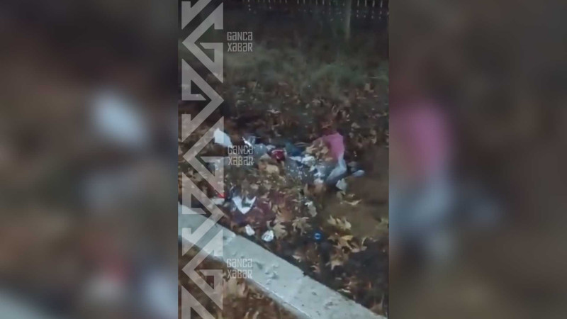 Sakinlər parklardan birindəki vəziyyətdən narahatdırlar