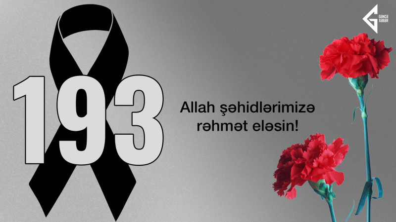 Antiterror əməliyyatları zamanı 193 nəfər şəhid olub
