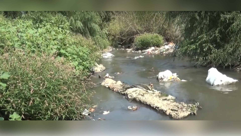 Bu ərazidə yaşayan sakinləri Xan arxın natəmizliyi narahat edir