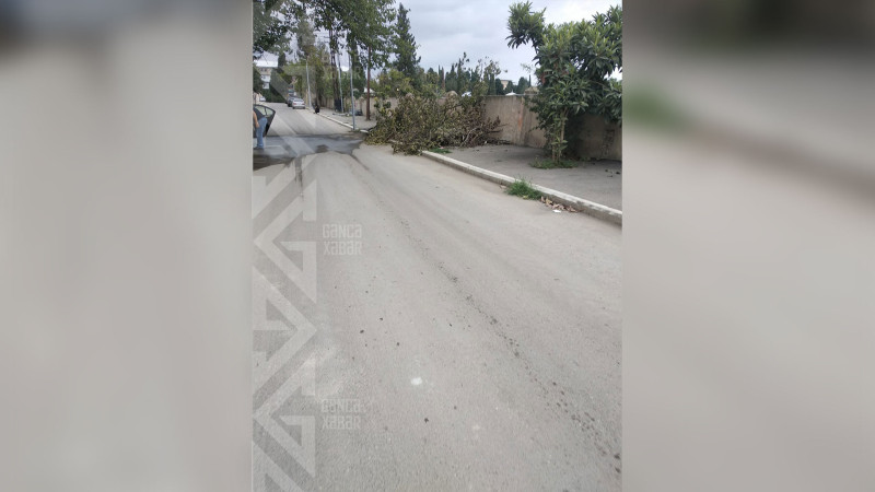 Bəzi küçələrdəki lüklər sürücülərə təhlükə yaradır