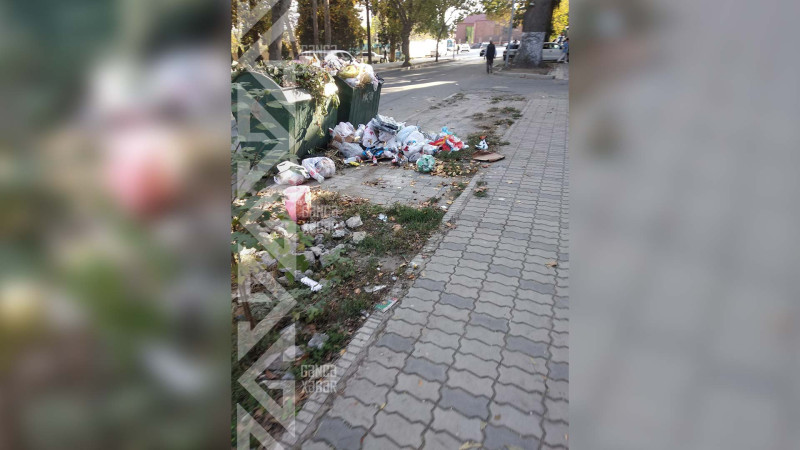 Şəhərin mərkəzində küçə zibillənib