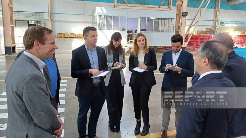 Harvard Universitetinin nümayəndə heyəti şəhərimizin qonağı olub