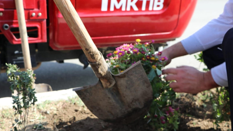Yaşıllaşdırma şöbəsi şəhərdə mövsümi güllərin əkininə hazırlaşır