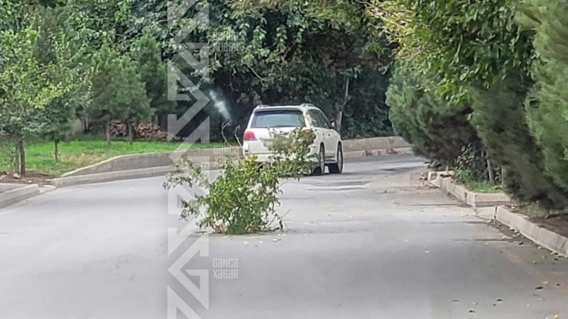 Şəhərin bir çox küçələrində yolda çökmələr əmələ gəlib